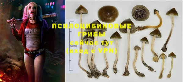 прущие крисы Алексин