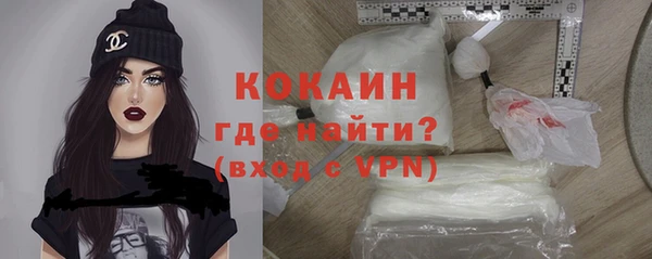 гашик Арсеньев