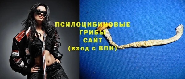 ГАЛЛЮЦИНОГЕННЫЕ ГРИБЫ Армянск