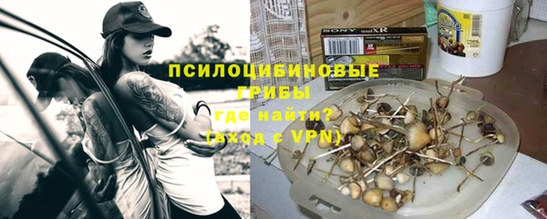 прущие крисы Алексин