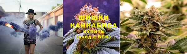 гашик Арсеньев