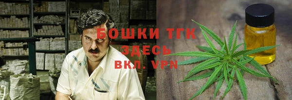 гашик Арсеньев