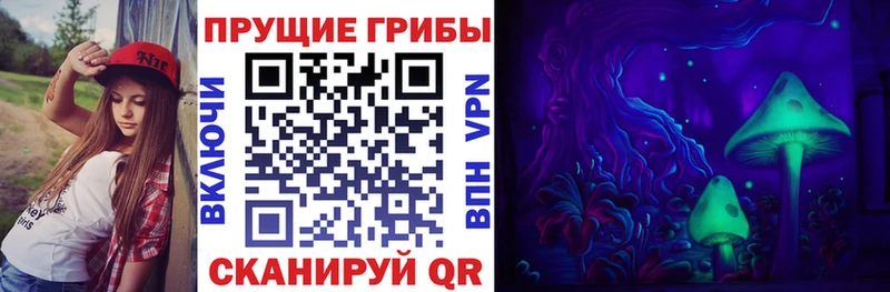Псилоцибиновые грибы Psilocybine cubensis кракен вход Нурлат